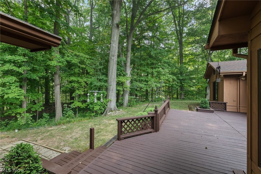 Sprawling ranch on 0.45 acres backing up to Metroparks in - photo 34