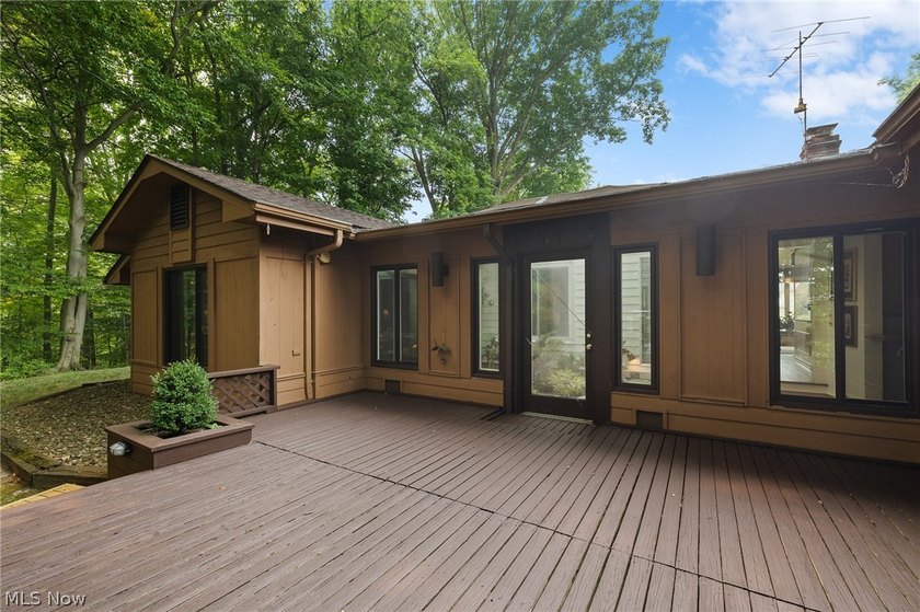 Sprawling ranch on 0.45 acres backing up to Metroparks in - photo 35