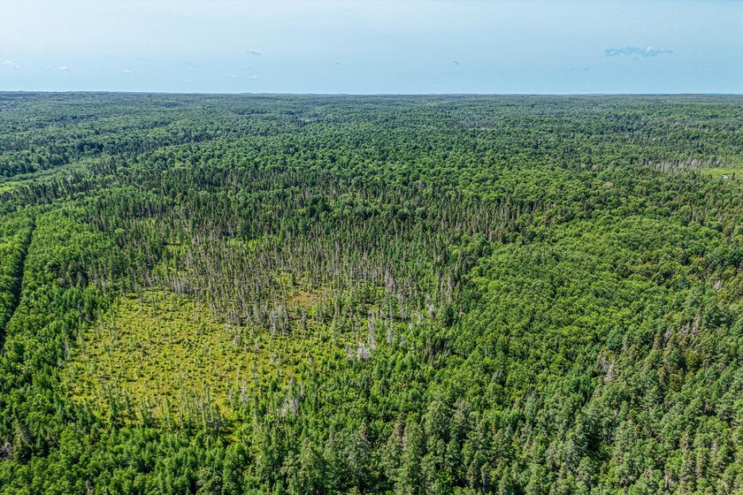 This 80-acre property is situated within the Ottawa National - photo 14