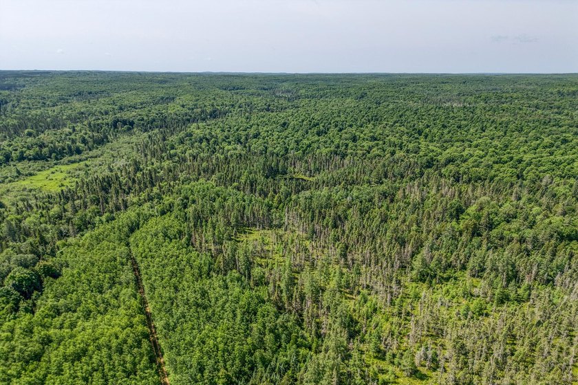 This 80-acre property is situated within the Ottawa National - photo 15