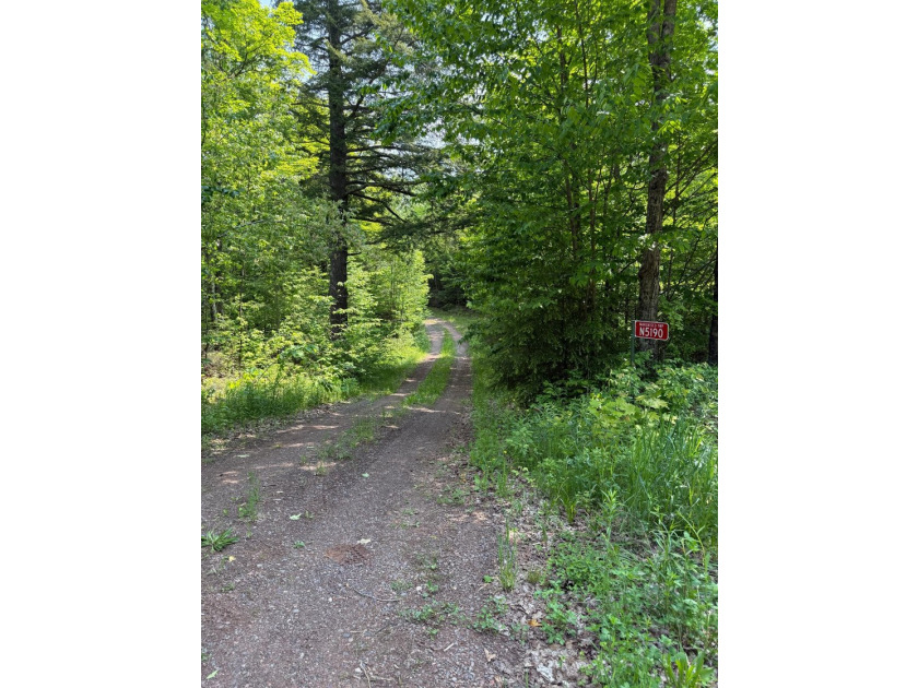 This 80-acre property is situated within the Ottawa National - photo 17