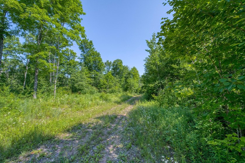 This 80-acre property is situated within the Ottawa National - photo 19