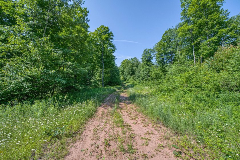 This 80-acre property is situated within the Ottawa National - photo 22