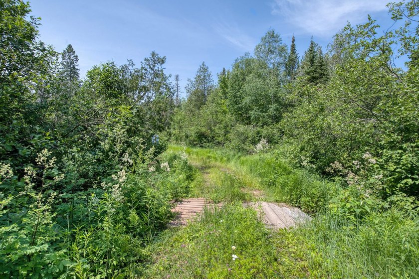 This 80-acre property is situated within the Ottawa National - photo 26