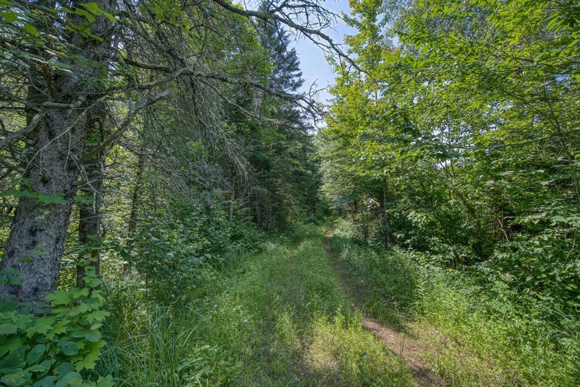 This 80-acre property is situated within the Ottawa National - photo 27