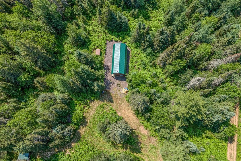 This 120-acre property is situated within the Ottawa National - photo 16