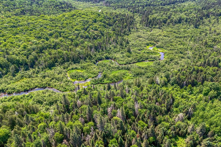 This 120-acre property is situated within the Ottawa National - photo 17