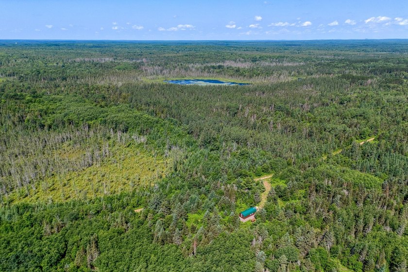 This 120-acre property is situated within the Ottawa National - photo 18