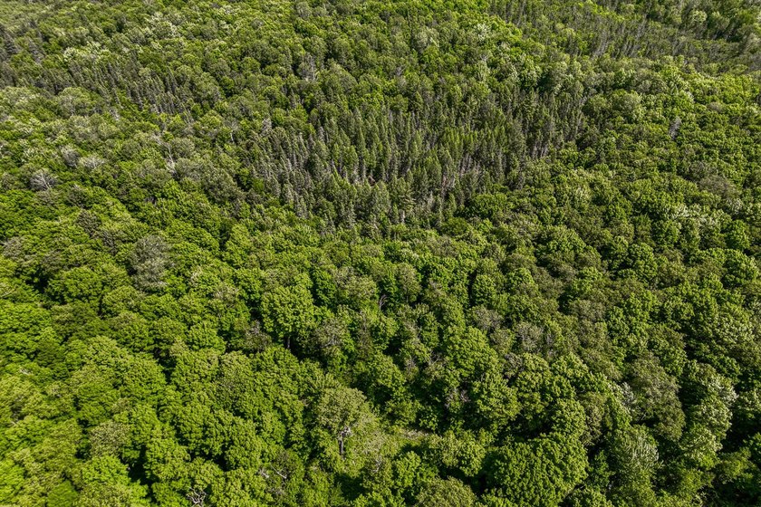 This 120-acre property is situated within the Ottawa National - photo 21