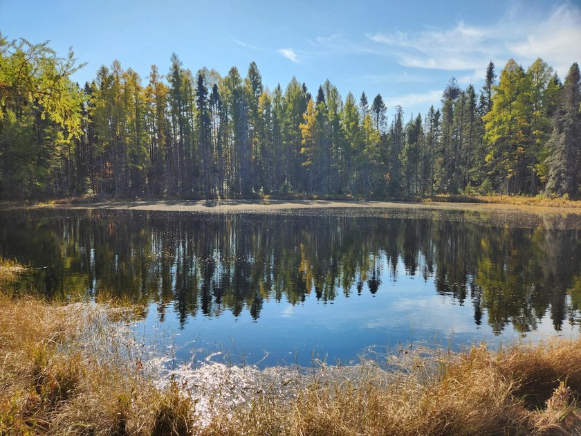 This 120-acre property is situated within the Ottawa National - photo 29