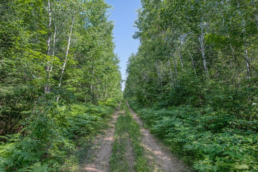 This 120-acre property is situated within the Ottawa National - photo 33