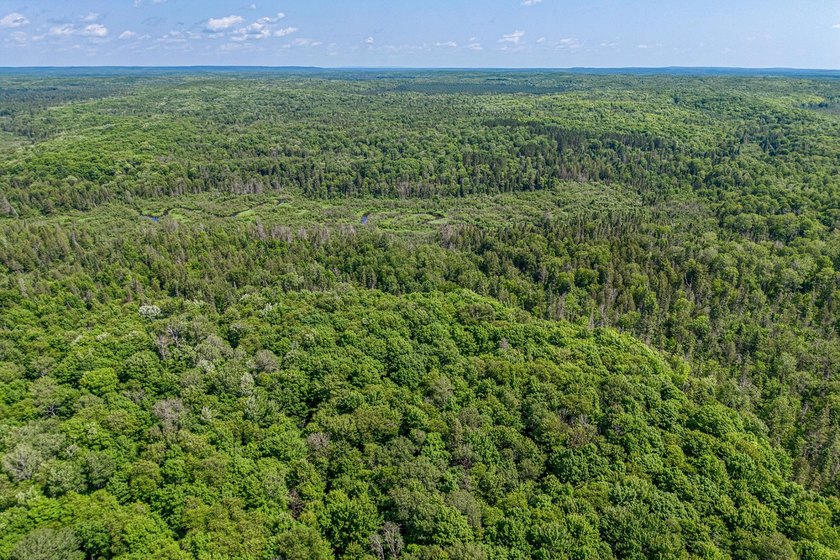 This 120-acre property is situated within the Ottawa National - photo 36