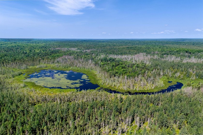 This 240-acre property is located within the Ottawa National - photo 27