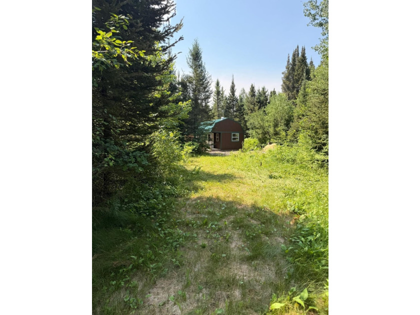 This 240-acre property is located within the Ottawa National - photo 29