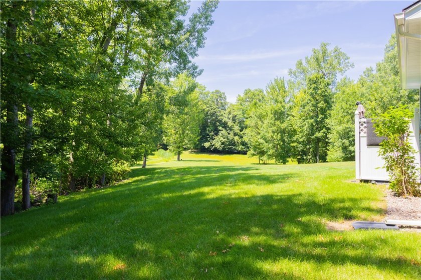 This is your chance to live in a highly desirable Webster, NY - photo 30