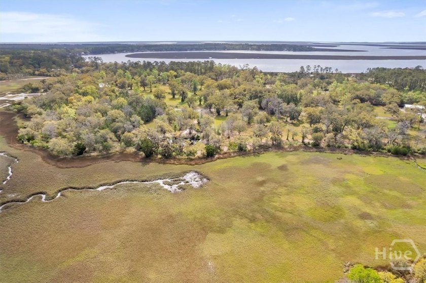 Coastal Living at its finest with marsh views on a .67 marsh - photo 22