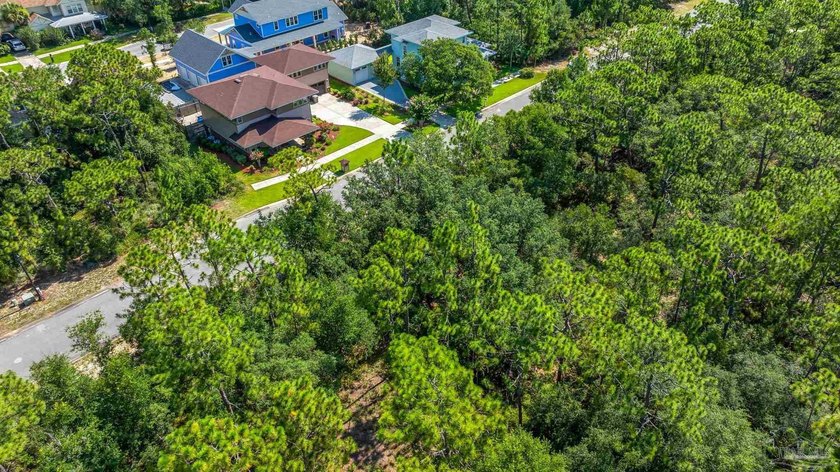 Build your dream home on Lot 55 in the highly sought-after - photo 3