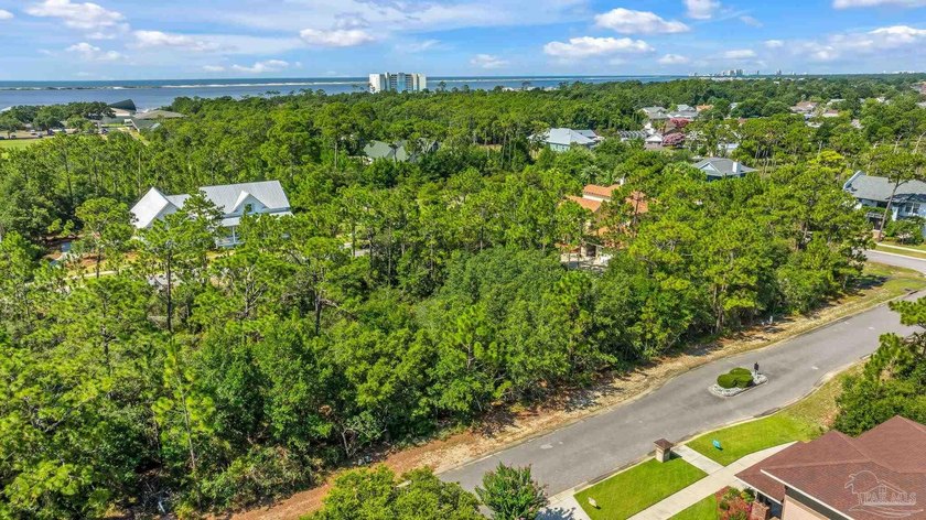 Build your dream home on Lot 55 in the highly sought-after - photo 8