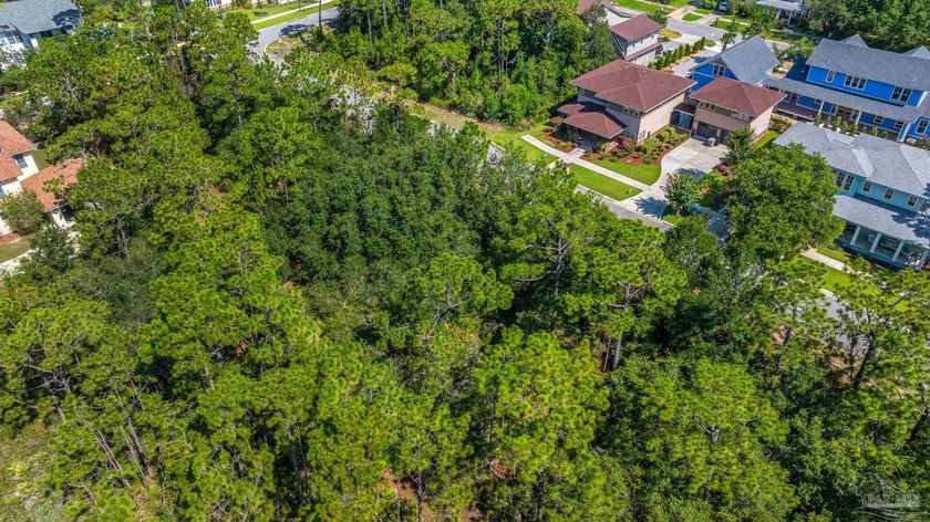 Build your dream home on Lot 55 in the highly sought-after - photo 10