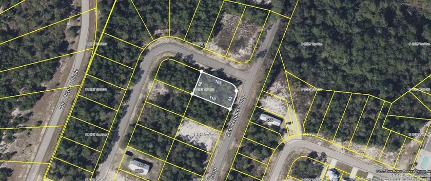 Desirable corner lot in Carrabelle Landing community with - photo 2