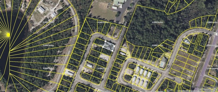 Desirable corner lot in Carrabelle Landing community with - photo 3