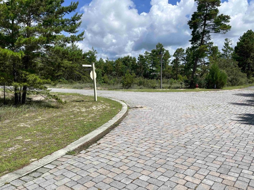 Desirable corner lot in Carrabelle Landing community with - photo 5