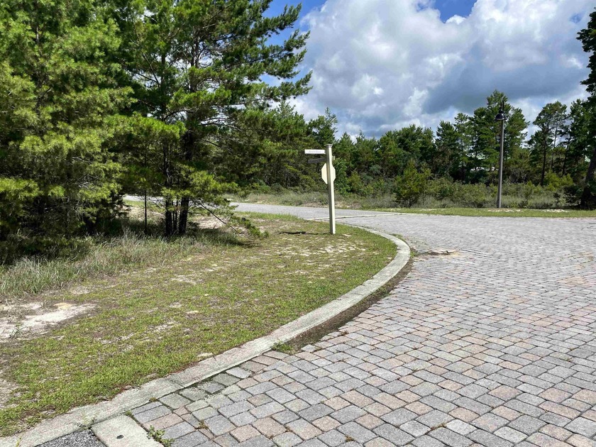 Desirable corner lot in Carrabelle Landing community with - photo 6
