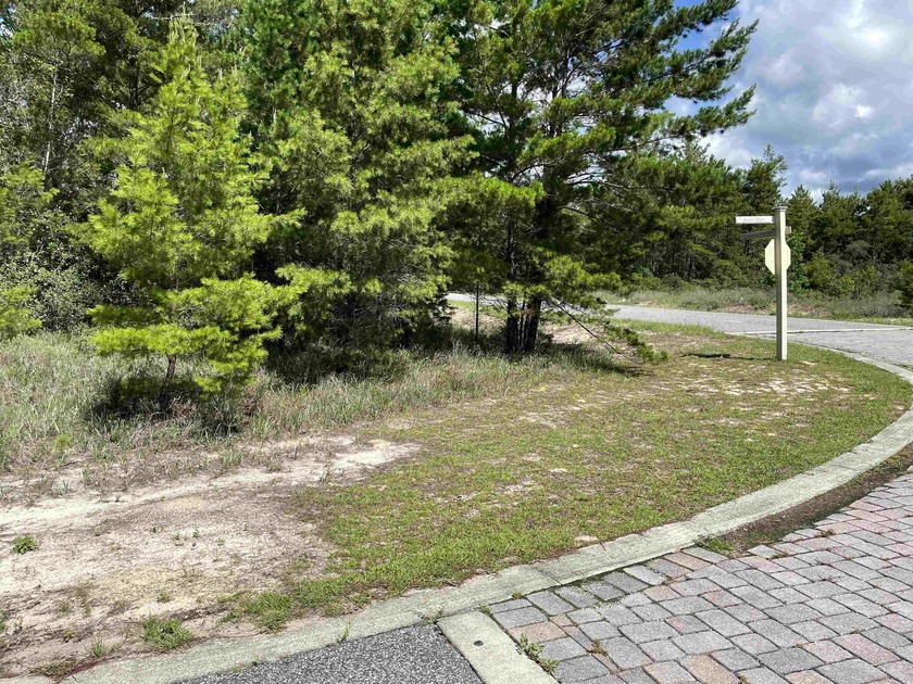 Desirable corner lot in Carrabelle Landing community with - photo 7