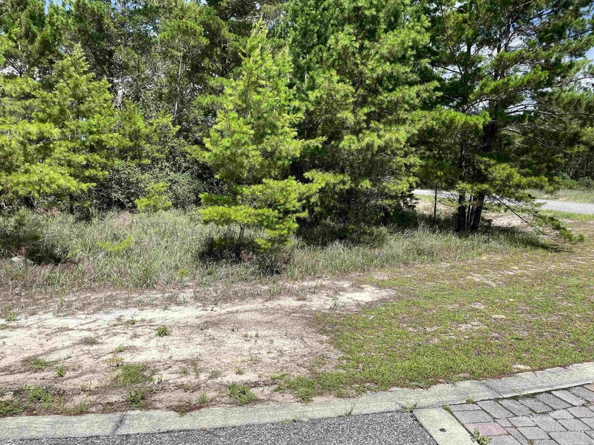 Desirable corner lot in Carrabelle Landing community with - photo 8