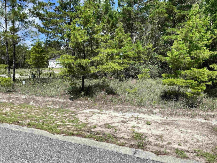 Desirable corner lot in Carrabelle Landing community with - photo 10
