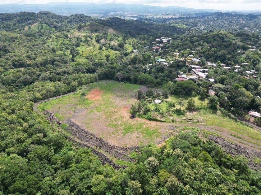 Commercial Land for Sale - 7.5 Hectares in Chilibre, Panama - photo 6