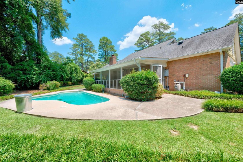 A private inground pool, spacious screened porch, and impressive - photo 25