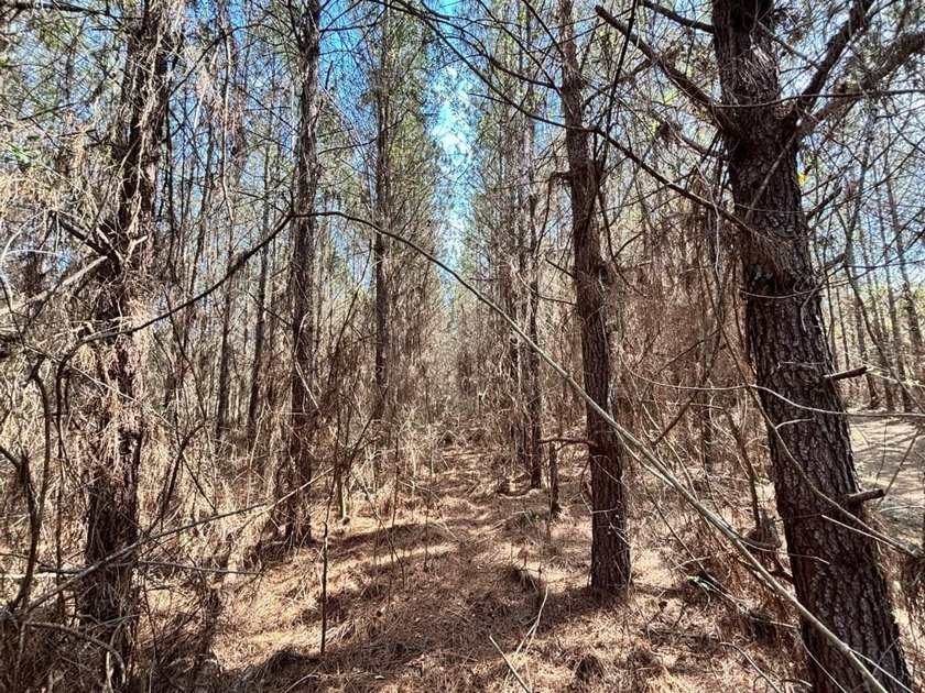 Tucked away in the quiet countryside of Clarke County - photo 6