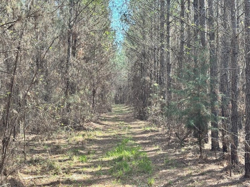 Tucked away in the quiet countryside of Clarke County - photo 8