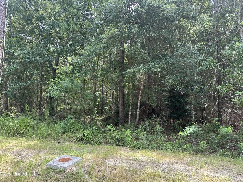 X Flood Zone. You can build on the ground. water/sewer/gas - photo 2