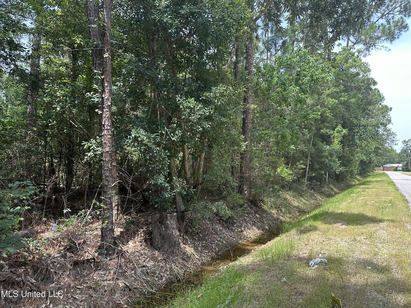 X Flood Zone. You can build on the ground. water/sewer/gas - photo 3