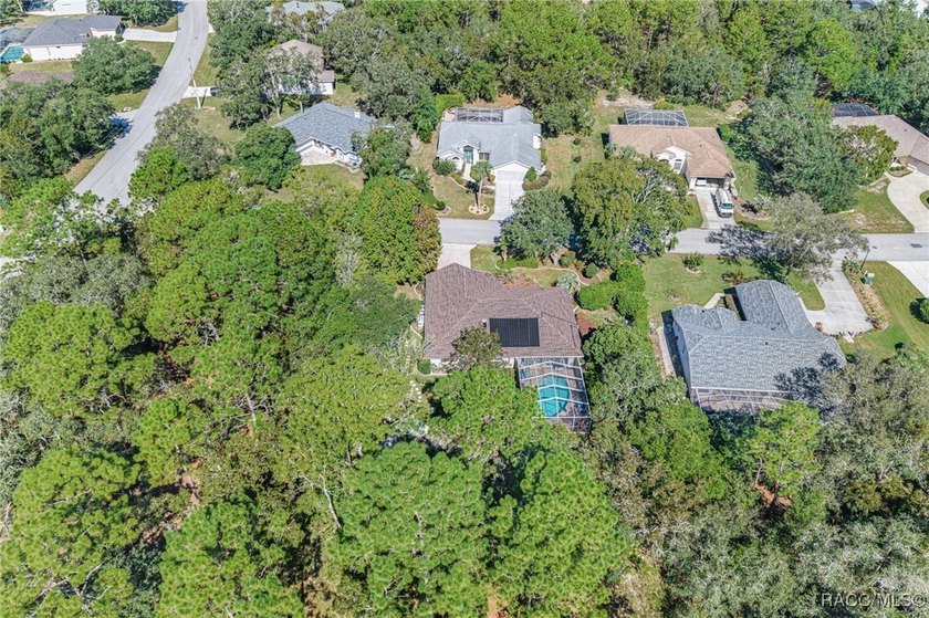 Welcome to 4 Ipomoea Court in beautiful Sugarmill Woods! This - photo 35