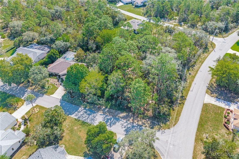 Welcome to 4 Ipomoea Court in beautiful Sugarmill Woods! This - photo 36