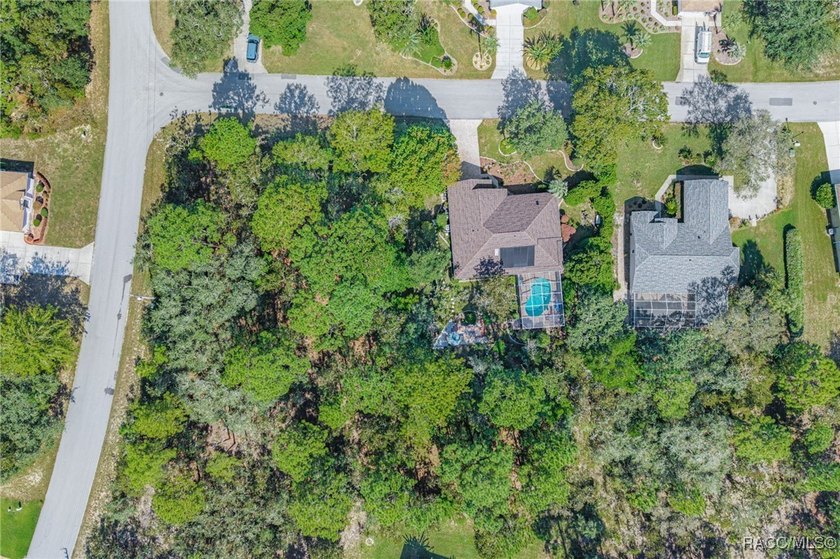 Welcome to 4 Ipomoea Court in beautiful Sugarmill Woods! This - photo 40