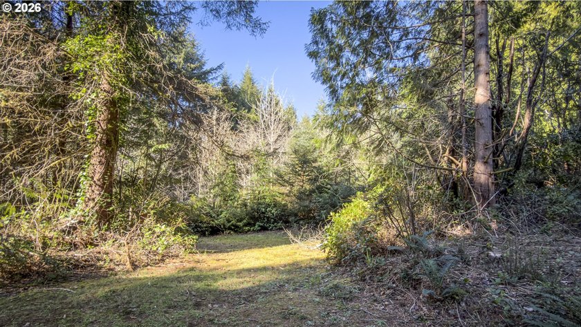 Imagine building your coastal retreat on this peaceful 0.41-acre - photo 3