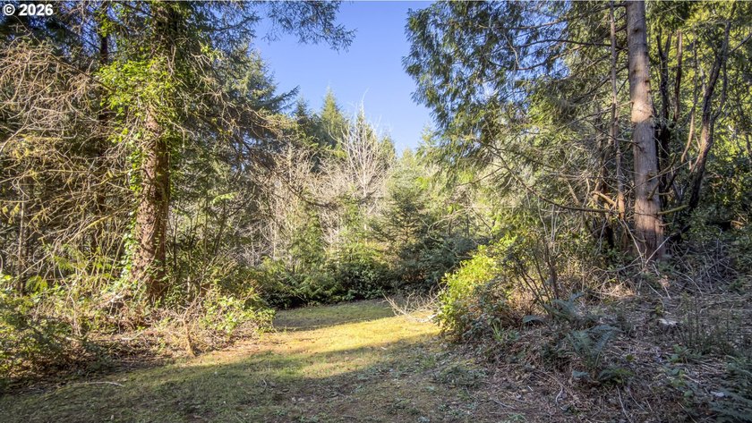 Imagine building your coastal retreat on this peaceful 0.41-acre - photo 4