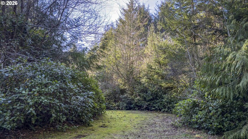 Imagine building your coastal retreat on this peaceful 0.41-acre - photo 5