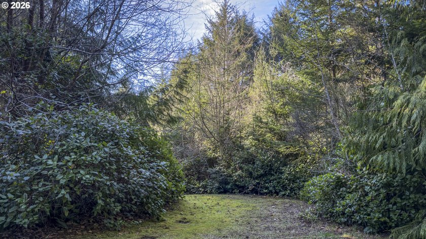 Imagine building your coastal retreat on this peaceful 0.41-acre - photo 6