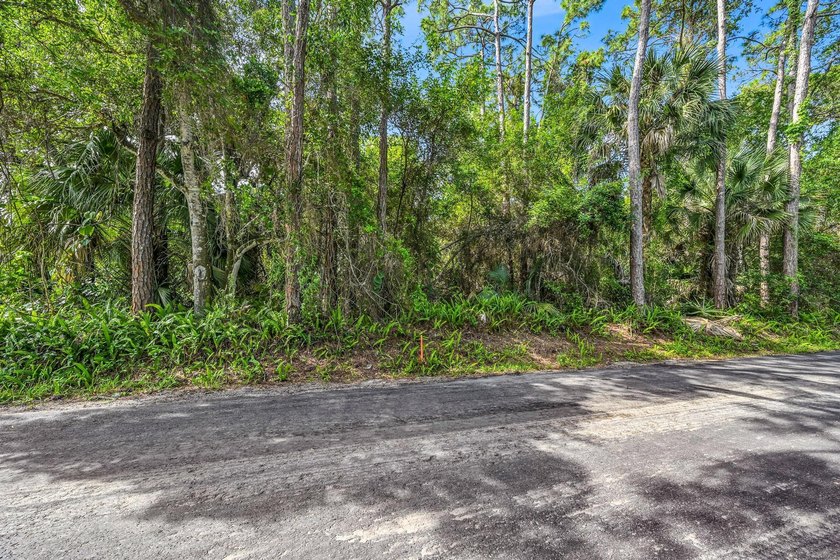 Seller says sell. 3-Lot package deal for sale in the desirable - photo 22