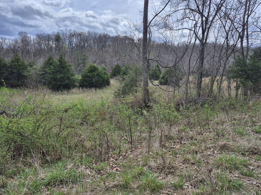 TBD McCasland Rd - photo 2