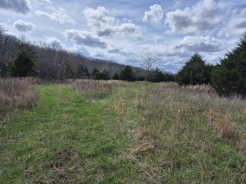 TBD McCasland Rd - photo 3