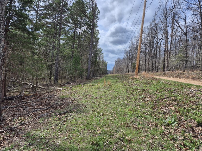 TBD McCasland Rd - photo 5