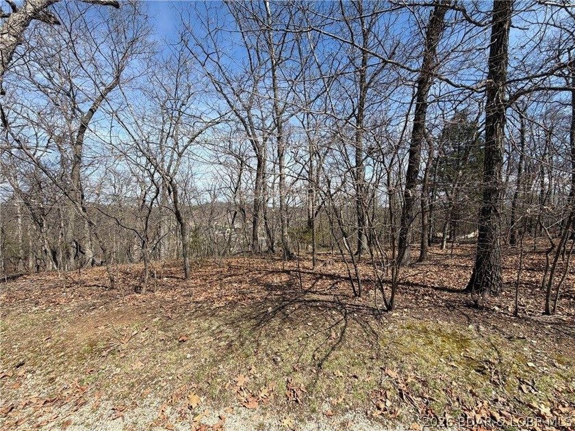 Build your dream home in the highly sought-after...The Villages - photo 3
