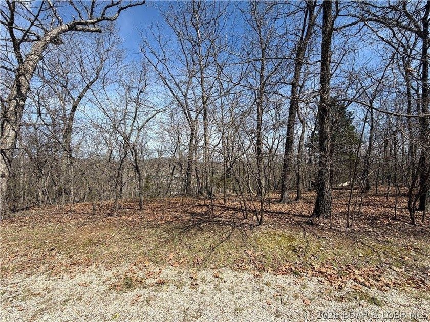 Build your dream home in the highly sought-after...The Villages - photo 4