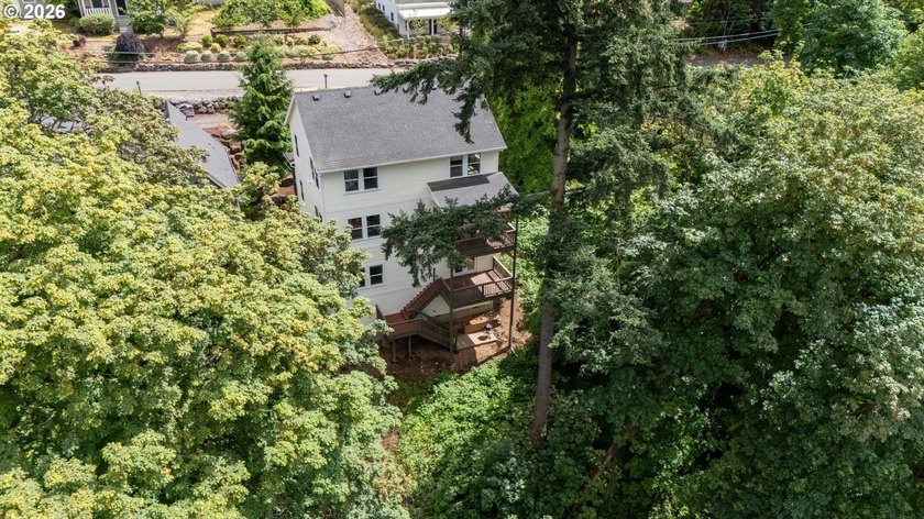 Rising above the trees in Oregon City's historic Canemah - photo 38